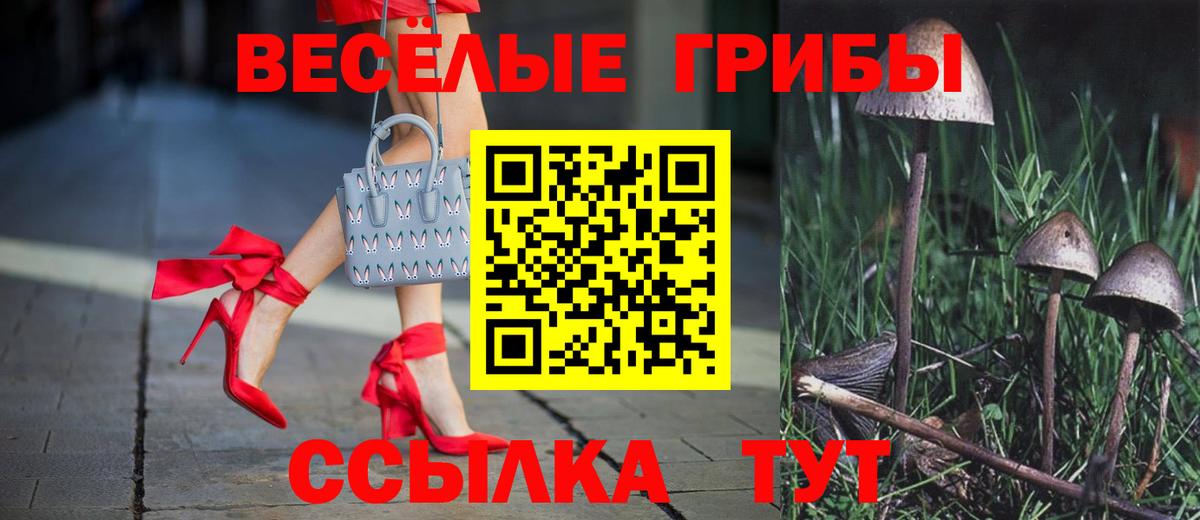 Псилоцибиновые грибы Magic Shrooms  Вход с VPN  Галлюциногенные грибы Cubensis  Кудрово 