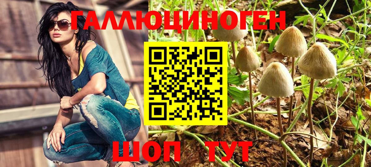 Галлюциногенные грибы мухоморы Кудрово